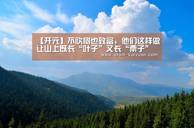 开元棋牌官网