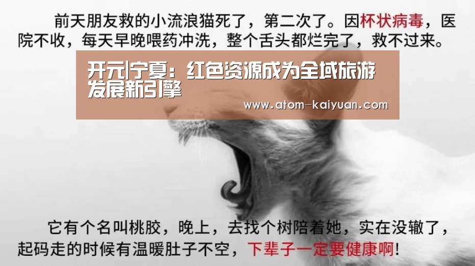 开元|宁夏:红色资源成为全域旅游发展新引擎(图2) 开元棋牌官网